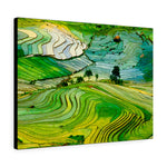 Load image into Gallery viewer, Rice Fields in Province, Vietnam
