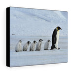 Load image into Gallery viewer, Emperor Penguins
