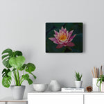 Load image into Gallery viewer, Lotus
