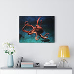 Load image into Gallery viewer, North Pacific Giant Octopus
