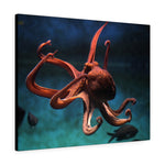 Load image into Gallery viewer, North Pacific Giant Octopus
