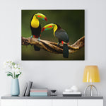 Load image into Gallery viewer, Keel-Billed Toucans
