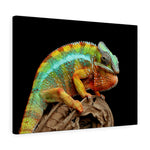 Load image into Gallery viewer, Chameleon
