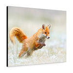 Load image into Gallery viewer, Red Fox
