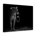 Load image into Gallery viewer, Leopard
