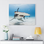 Load image into Gallery viewer, Hammerhead Shark
