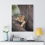 Load image into Gallery viewer, Lion Cub
