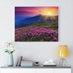 Load image into Gallery viewer, Rhododendron Flowers in Carpathian, Ukraine
