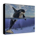 Load image into Gallery viewer, Orca
