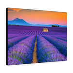 Load image into Gallery viewer, Lavender Fields in Provence, France
