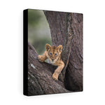 Load image into Gallery viewer, Lion Cub
