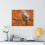 Load image into Gallery viewer, Ural Owl
