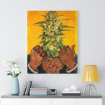 Load image into Gallery viewer, Pot Head
