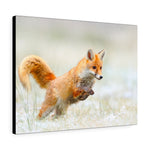 Load image into Gallery viewer, Red Fox
