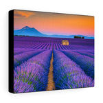 Load image into Gallery viewer, Lavender Fields in Provence, France
