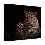 Load image into Gallery viewer, Leopard
