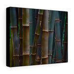 Load image into Gallery viewer, Bamboo Forest

