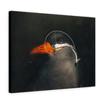 Load image into Gallery viewer, Fibonocci Penguin
