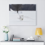 Load image into Gallery viewer, Snowy Owl
