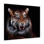 Load image into Gallery viewer, Sumatran Tiger
